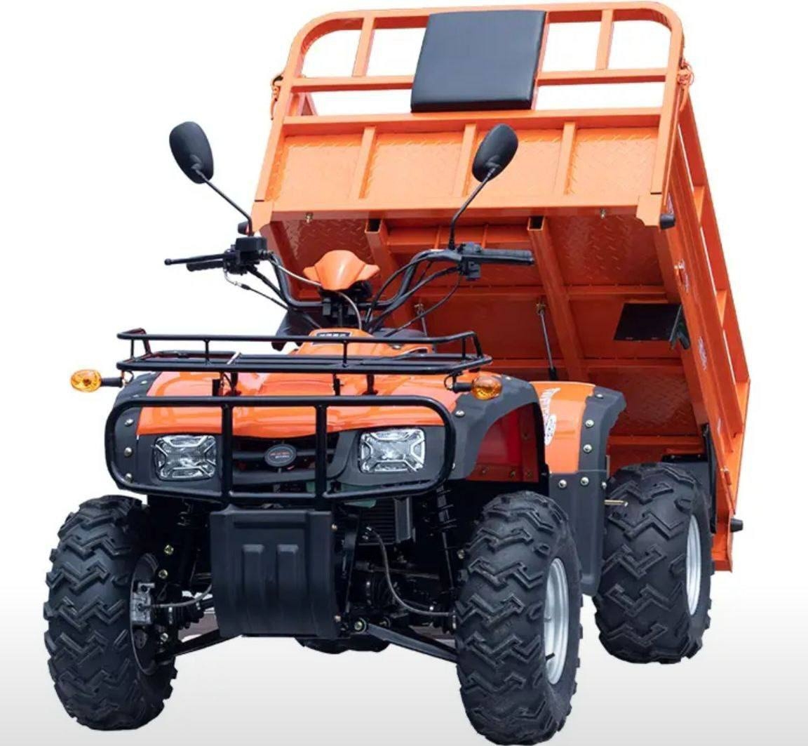Фото Квадроцикл Yaqi YQ300-N4 4WD