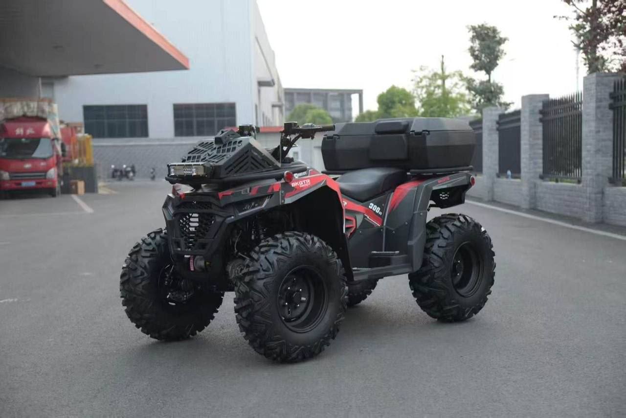 Фото Квадроцикл Nicot ATV300 EPS 4WD